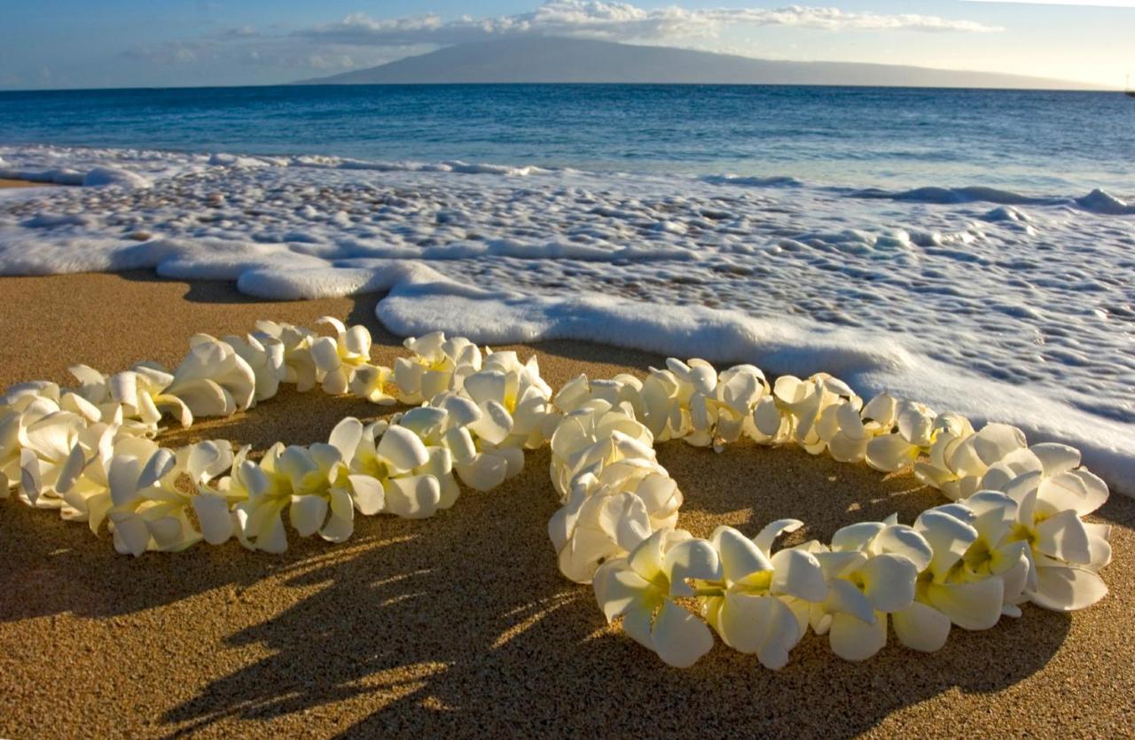 Aloha Vibes Await! Stylish Condo At Aloha Surf - Mountain And City Views Honolulu Bagian luar foto